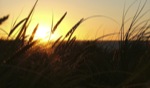 Sunset V / Gnaraloo, WA