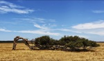 Windy / Geraldton, WA