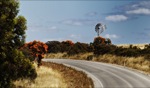 Spring Flowers & Windmill / Yanchep Nationalpark, WA