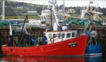 Fishingboat / Dingle Harbour