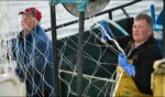 Fisherman / Dingle Harbour