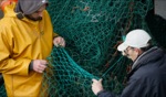 Netting / Dingle Harbour