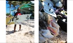 Beachlife / Local caddy, Cowwreck Beach