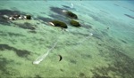 Conch Shell Piles / Anegada, BVI