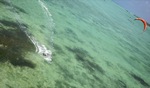 Going vertical / Anegada, BVI