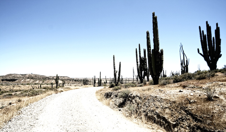 Only 1 beer to Punta San Carlos? / Desert Road, Baja California