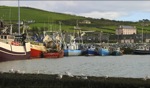 Dingle Harbour / Dingle, Irland