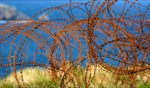 Rust / Camaret sur Mer