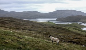 Isle of Lewis