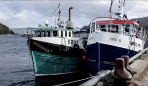 Portree Harbour, Skye