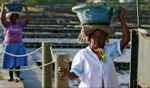 Hard work / Tamarin, Mauritius