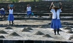 Harvesting Salt / Tamarin, Mauritius