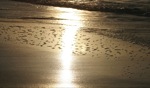 Scottish Sunset II / Ballevulin Beach Sunset, Tiree, Schottland