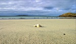 The Maze / The Maze, Tiree, Schottland