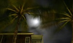 Palmtrees / Fort Recovery, Tortola, British Virgin Islands