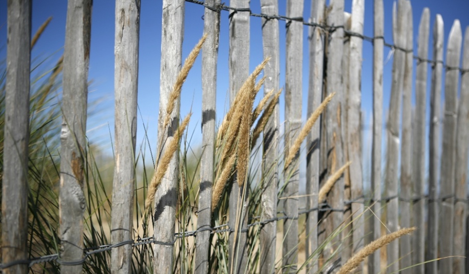 Beach / Wissant, Frankreich