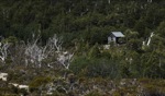 Overland Track / Cradle Mountain, Tasmania