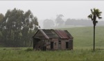 Left and forgotten / Somewhere, Tasmania