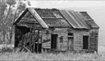 Hut / Middle of nowhere, Tasmania