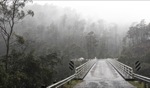 Rain... / Mole Creek, Tasmania