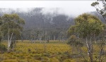 Cloud Cover / Great Lake Conservation Area, Tasmania