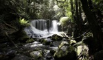 Horse Shoe Falls / Mount Field National Park, Tasmania