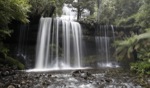 Russel Falls / Mount Field National Park, Tasmania