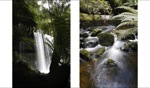 Falls / Nelson Falls, Tasmania