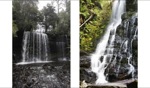 Russel Falls / Tasmania