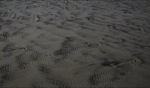 Sand / Ocean Beach, Tasmania