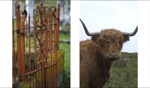 Graveyard / Tiree 