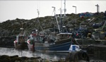 Lobster Boats / Tiree, Schottland