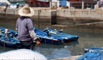 Sitting on the dock of the bay… / Essaouira