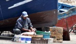 Harbour / Essaouira