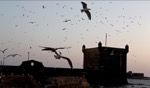 The wind cries Mary… / Essaouira