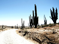 Baja California, Mexico